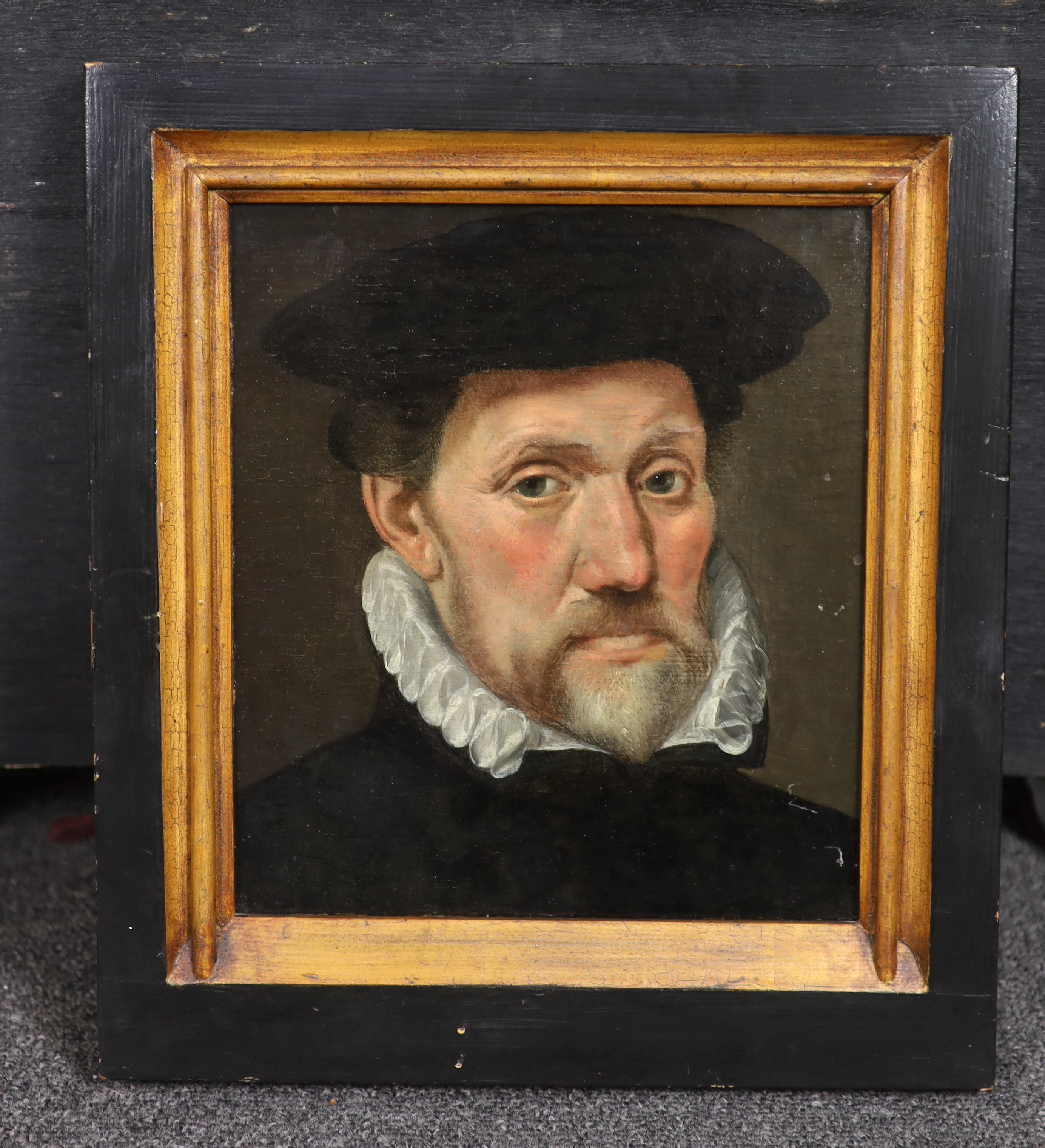 17th century Flemish School, Head study of a gentleman, oil on panel, 23 x 20cm